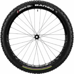 Vittoria Faltreifen Barzo TLR UCI Rainbow Edition